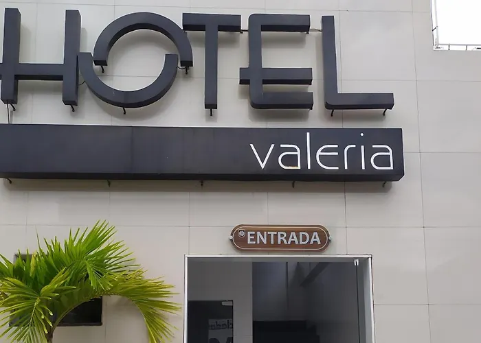 Oyo Hotel Valeria Salvador